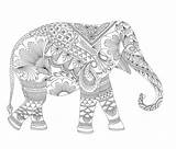 Odrasle Pobarvanka Pobarvanke Slon Tudi Govori Pri Mladinska Slovenijo Fenomen Osvaja Lahko Mladinski Dve Novi 24ur Knjiga Hindu Zentangle Nazaj sketch template