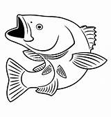 Fish Bass Coloring Pages Color Smallmouth Drawing Sniper Mouth Drawings Fishing Print Tocolor Patterns Printable Coin Clipart Template Burning Wood sketch template