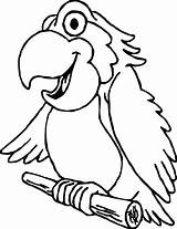 Parrot Coloring Pages Wecoloringpage Disney sketch template