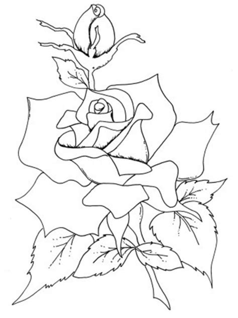 roses flowers coloring pages rose coloring pages flower coloring