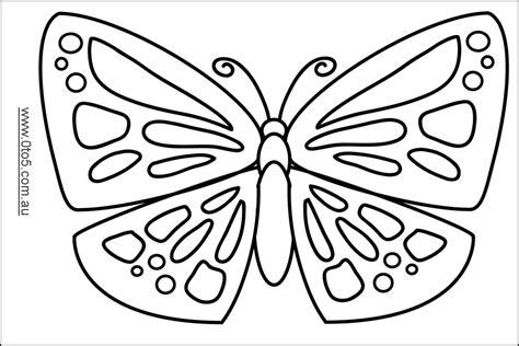 butterfly outline printable page  kids   adults coloring home