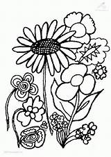 Coloring Plant Pages Popular Plants sketch template