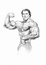 Arnold Schwarzenegger Drawing Sketch Paintingvalley Sketches Drawings Alexander sketch template