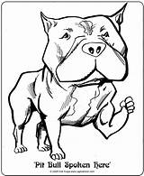 Pitbull Coloring Cachorro Pitbul Coloringhome sketch template