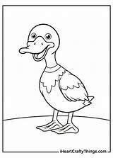 Iheartcraftythings Mandarin Ducks sketch template