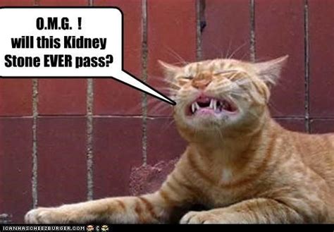43 Best Urology Humor Images On Pinterest Ha Ha