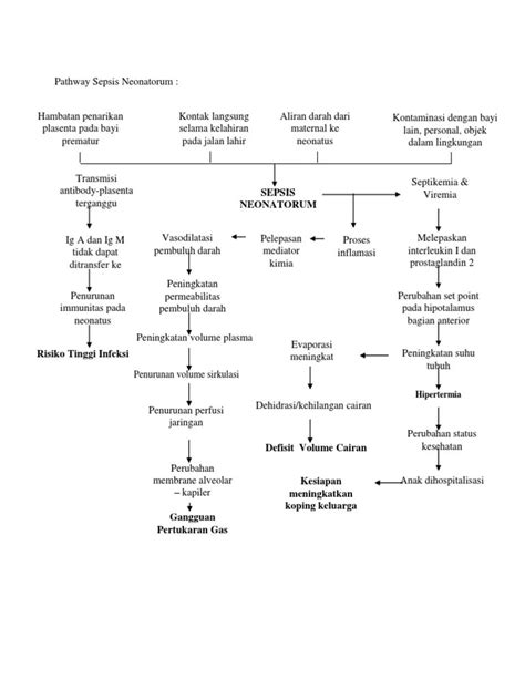 Pathway Syok Sepsis – Dikbud