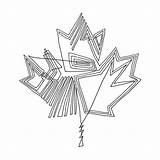 Leaf Maple Canadian Canada Colouring Visit Coloring sketch template