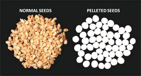 pelleted seeds  normal seeds