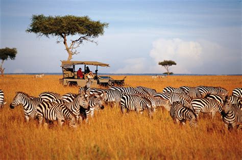 serengeti national park travel wide flights