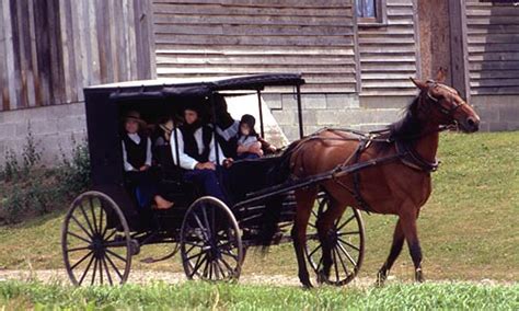 crazy facts about the amish that will surprise you the amish guff