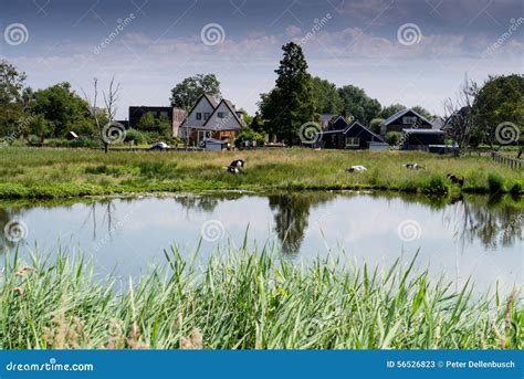 landsmeer fotografering foer bildbyraer bild av liggande