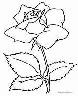 Flower Coloring Pages Book Flowers Rose Color sketch template