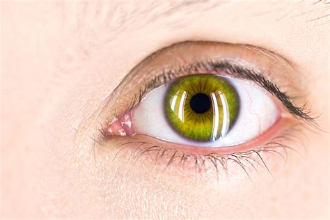 Pick The Best Online Green Colored Eye Contacts From Green Contacts