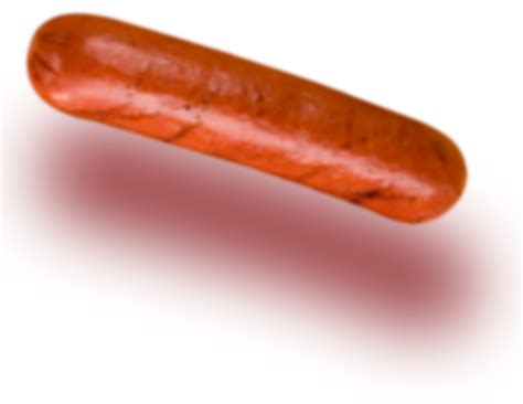 sausage transparent png pictures  icons  png backgrounds