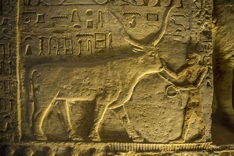 archaeologists discover an ancient royal egyptian priest s