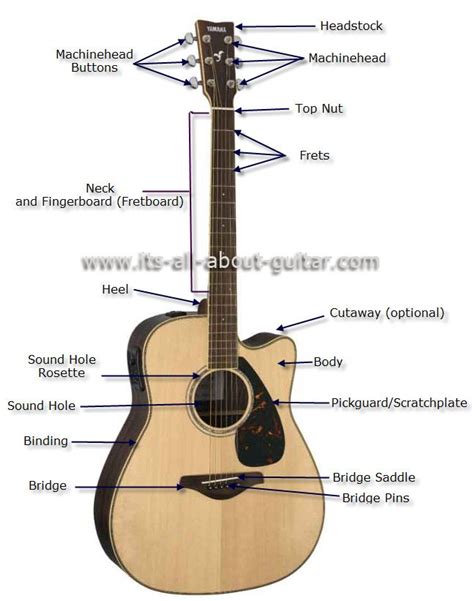 diagram   acoustic guitar  theory guitar guitar songs acoustic guitar strings