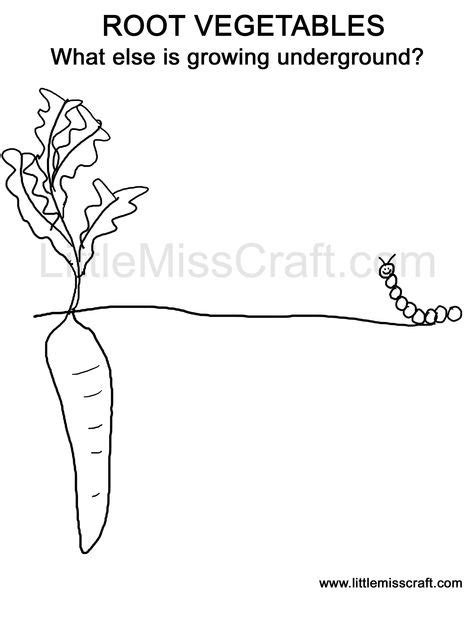 crafts growing root vegetables doodle coloring page vegetable