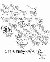 Army Collective Ants Colouring Nouns Ant Pages Noun Activities Pag Own Very Print sketch template