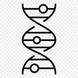 Biology Dna Nucleic Helix sketch template