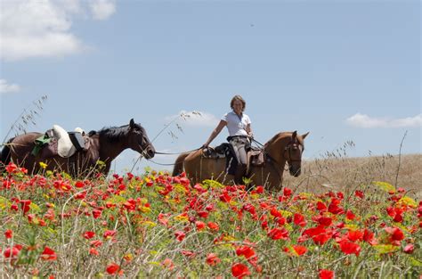 lusitano trail horse riding holidays portugal zaras planet