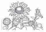Van Gogh Coloring Sunflowers Getdrawings Pages sketch template