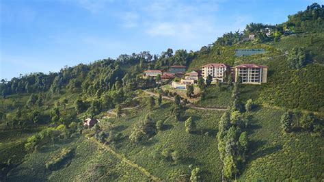 taj hotel opens  darjeelings tea estates conde nast