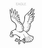 Eagle Coloring Pages Flying Printable Kids Sheet Bald Playinglearning sketch template