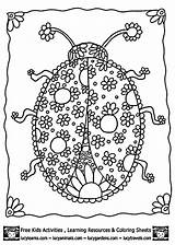 Coloring Pages Ladybug Printable Adult Detailed Adults Color Colouring Animal Ladybugs Blank Sheets Print Simple Pattern Clipart Lady Bug Coloringhome sketch template