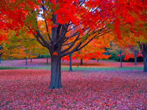 beginning  endand    rainy fall day