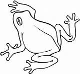 Rana Frosch Ausmalbild Frogs Anfibi Rane Supercoloring Jumping Rainforest Animali Toad Disegnidacolorare Clipartmag Categorie sketch template