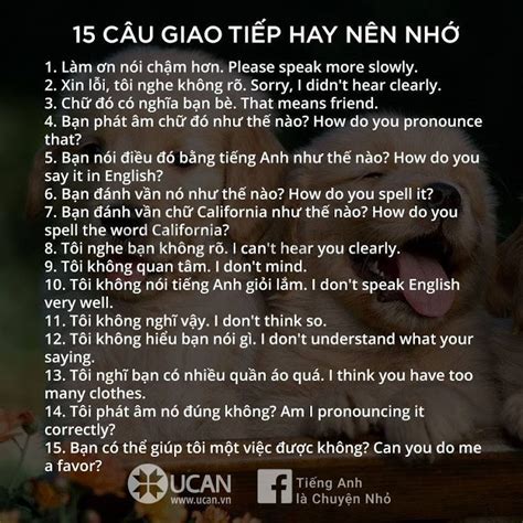 92 bài học trên 1000 shares ngôn ngữ ngữ pháp tiếng anh tiếng anh