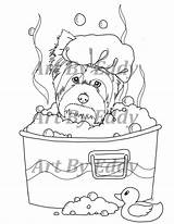 Pages Yorkie Poo Dog Template Coloring sketch template
