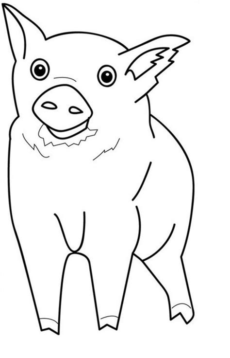 coloring pages  pig  animal place