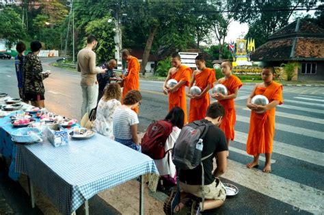 Offering To Monks Chiang Mai Only Tourists Josadaik Spoke Trips