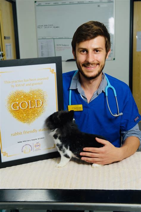 first veterinary practice in wales awarded gold standard