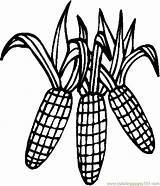 Corn Coloring Pages Indian Thanksgiving Stalk Printable Color Cob Clipart Drawing Sheets Kids Cornstalk Candy Holidays Online Clipartmag Coloringpages101 Popular sketch template