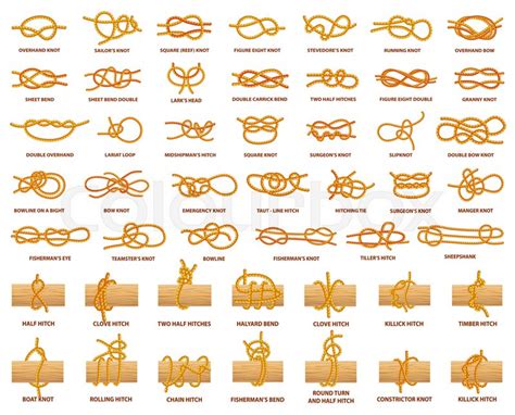 types  knots demonstrated  stock vector colourbox