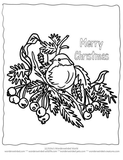 birds coloring page christmas page   ages coloring home