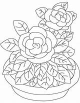 Gardenia sketch template