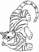 Coloring Tiger Pages Tigers Detroit Baby Big Colouring Tigger Wild Stripes Cat Printable Pooh Drawing Color Cartoon Cliparts Resting Cub sketch template