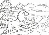 Narnia Aslan sketch template