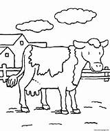 Coloring Cow Pages Animal Cute Farm Color Printable Animals Print Davemelillo Mom Kids Sheets Getdrawings Getcolorings sketch template