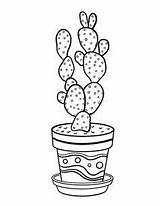 Cactus Printable Kawaii Succulents Colorier Piante Grasse Fuente Suculentas Feltro Pagine Motivi Pittura Ricamati Nastri Colorare Funghi Ricamo Sweetrosestudio Southwestdanceacademy sketch template
