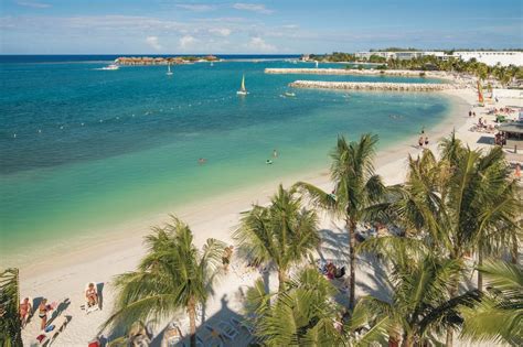riu reggae adults only all inclusive in montego bay hotel rates
