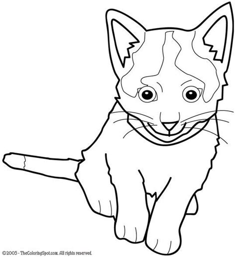 kitten kitten animal coloring pages coloring pages