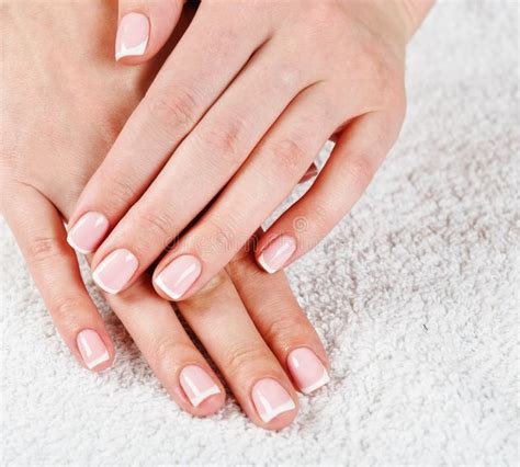 french manicured hand stock photo image  finger nail