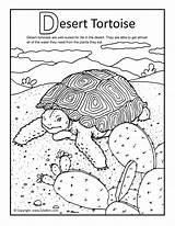 Desert Coloring Tortoise Teacher Clip sketch template