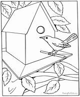 Coloring Pages Printable House Kids Adults Kid Bird Draw Sheets Birds Dementia Colouring Templates Patients Boys Adult Children Learn Easy sketch template