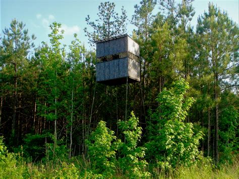 Whitetail Deer Food Plots And Dove Fields